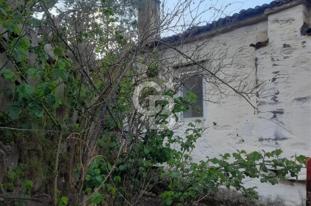 Yatağan Zeytinköy yerleşim alanı içinde