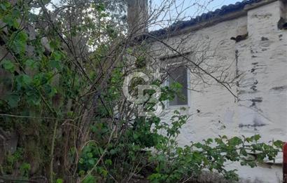 Yatağan Zeytinköy yerleşim alanı içinde