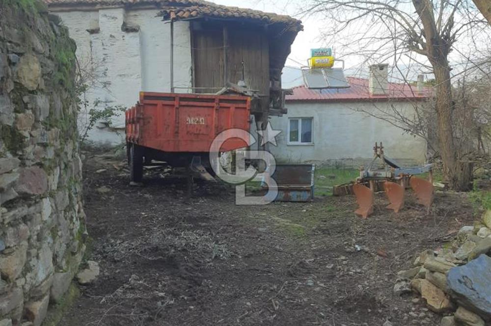 Yatağan Zeytinköy yerleşim alanı içinde