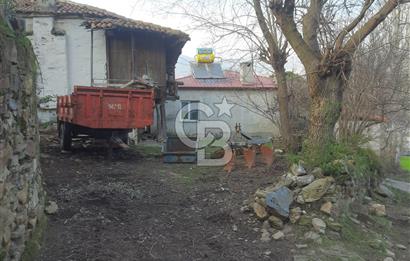 Yatağan Zeytinköy yerleşim alanı içinde