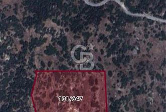 Yatağan yavada tarla vasfında - 2 - 316004