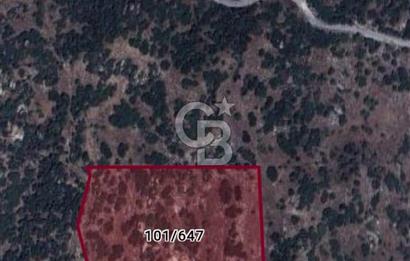 Yatağan yavada tarla vasfında