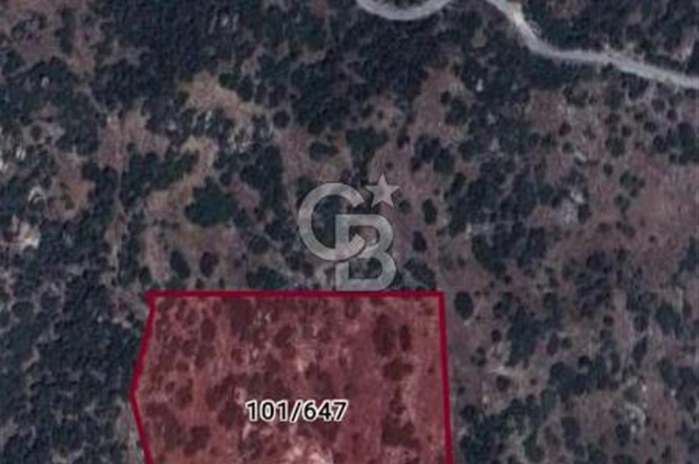 Yatağan yavada tarla vasfında