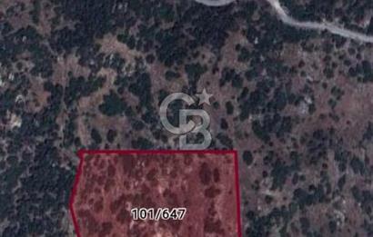 Yatağan yavada tarla vasfında