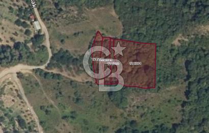 Karamürsel Akçat'ta 400M² Köy'e 800MT Satılık Meyve Behçesi!