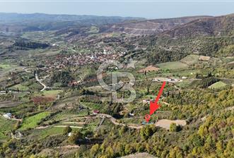 Karamürsel Akçat'ta 400M² Köy'e 800MT Satılık Meyve Behçesi! - 2 - 316026