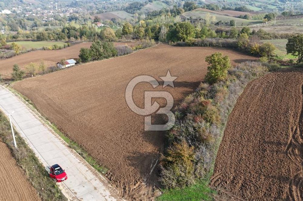 Karamürsel Yalakdere'de Yola Cepheli 14 Dönüm Satılık Tarla!