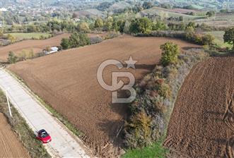 Karamürsel Yalakdere'de Yola Cepheli 14 Dönüm Satılık Tarla! - 1 - 316028