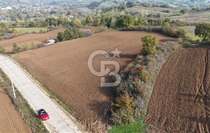 Karamürsel Yalakdere'de Yola Cepheli 14 Dönüm Satılık Tarla!