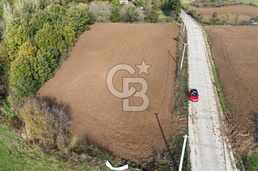 Karamürsel Yalakdere'de Yola Cepheli 14 Dönüm Satılık Tarla!