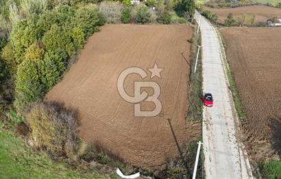 Karamürsel Yalakdere'de Yola Cepheli 14 Dönüm Satılık Tarla!