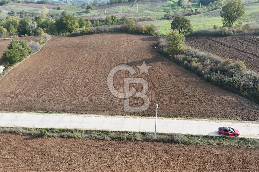 Karamürsel Yalakdere'de Yola Cepheli 14 Dönüm Satılık Tarla!