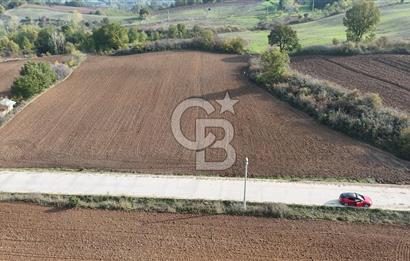 Karamürsel Yalakdere'de Yola Cepheli 14 Dönüm Satılık Tarla!