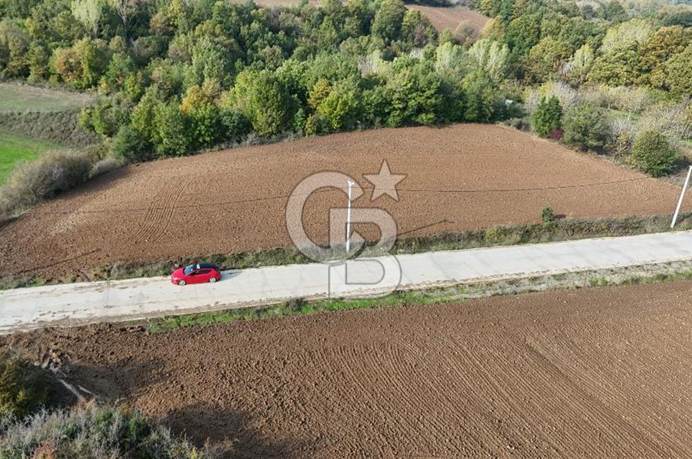 Karamürsel Yalakdere'de Yola Cepheli 14 Dönüm Satılık Tarla!