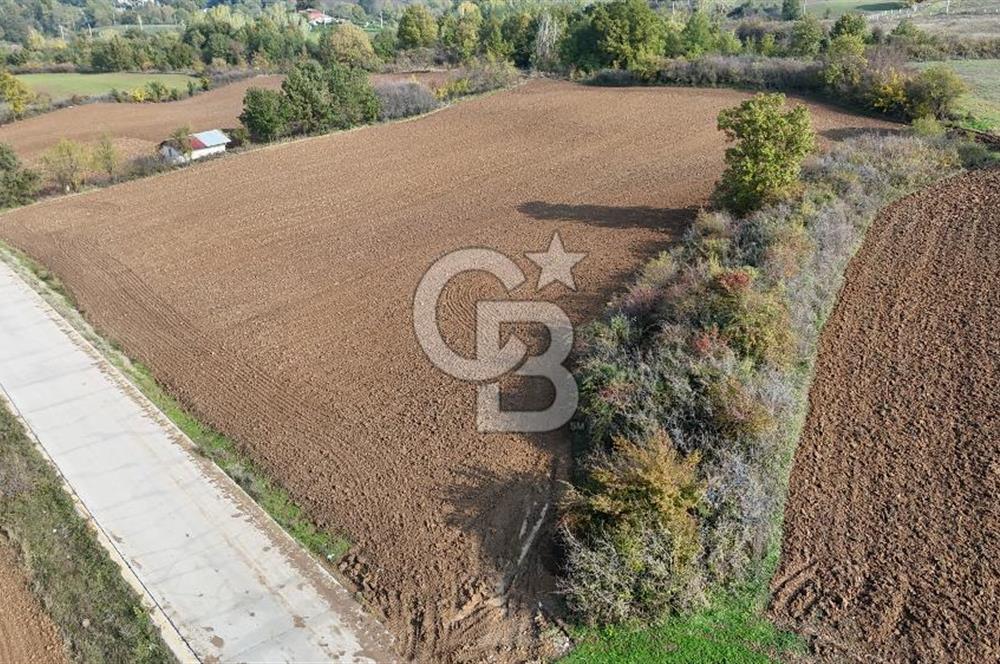 Karamürsel Yalakdere'de Yola Cepheli 14 Dönüm Satılık Tarla!