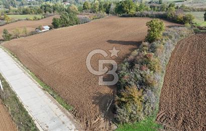 Karamürsel Yalakdere'de Yola Cepheli 14 Dönüm Satılık Tarla!