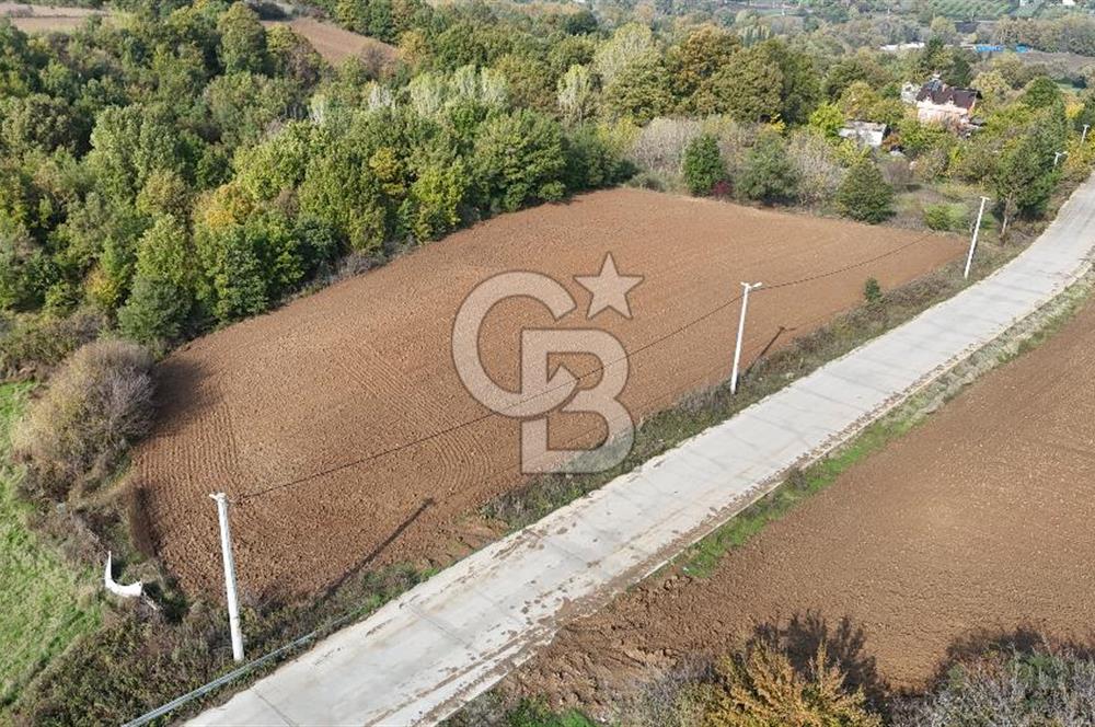 Karamürsel Yalakdere'de Yola Cepheli 14 Dönüm Satılık Tarla!