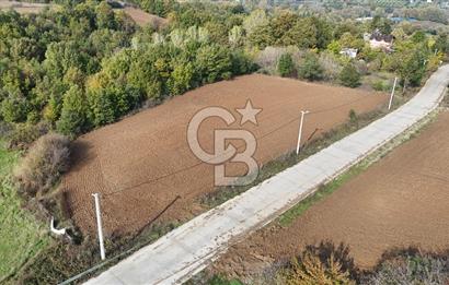 Karamürsel Yalakdere'de Yola Cepheli 14 Dönüm Satılık Tarla!