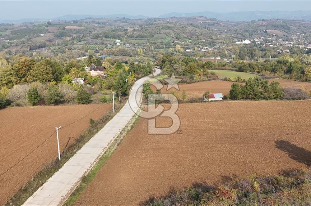 Karamürsel Yalakdere'de Yola Cepheli 14 Dönüm Satılık Tarla!