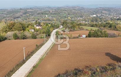 Karamürsel Yalakdere'de Yola Cepheli 14 Dönüm Satılık Tarla!
