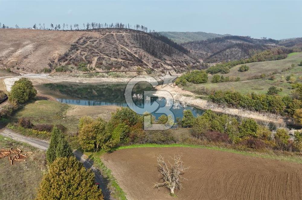 Karamürsel Akçatta Barajın Yanında 11.754 M² Satılık Tarla!