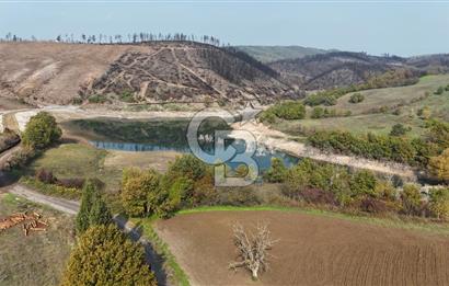 Karamürsel Akçatta Barajın Yanında 11.754 M² Satılık Tarla!