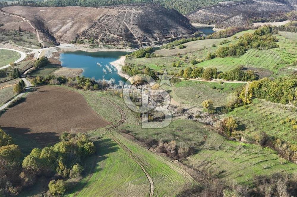 Karamürsel Akçatta Barajın Yanında 11.754 M² Satılık Tarla!