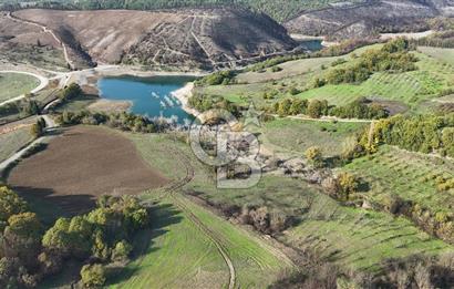Karamürsel Akçatta Barajın Yanında 11.754 M² Satılık Tarla!