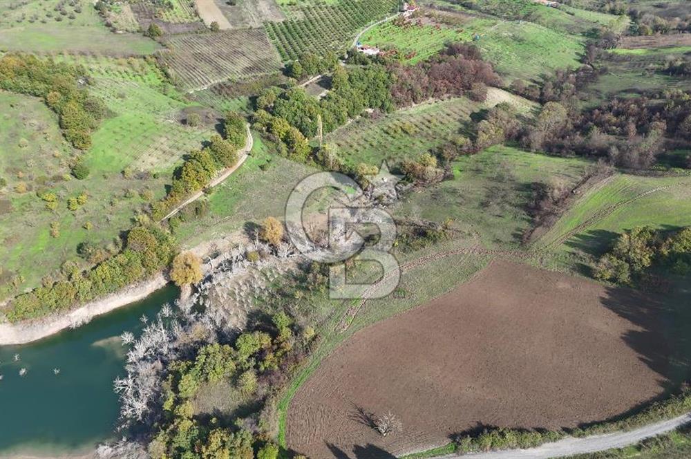 Karamürsel Akçatta Barajın Yanında 11.754 M² Satılık Tarla!