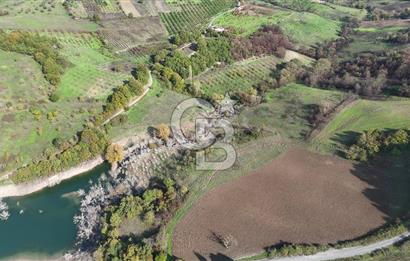 Karamürsel Akçatta Barajın Yanında 11.754 M² Satılık Tarla!