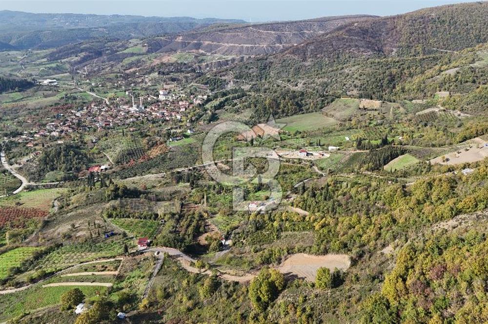 Karamürsel Akçat'ta 400M² Köy'e 800MT Satılık Meyve Behçesi!