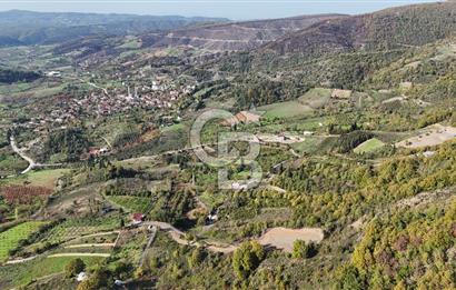 Karamürsel Akçat'ta 400M² Köy'e 800MT Satılık Meyve Behçesi!