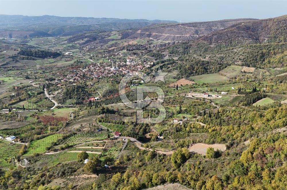 Karamürsel Akçat'ta 400M² Köy'e 800MT Satılık Meyve Behçesi!