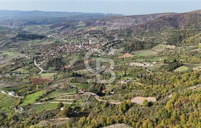 Karamürsel Akçat'ta 400M² Köy'e 800MT Satılık Meyve Behçesi!