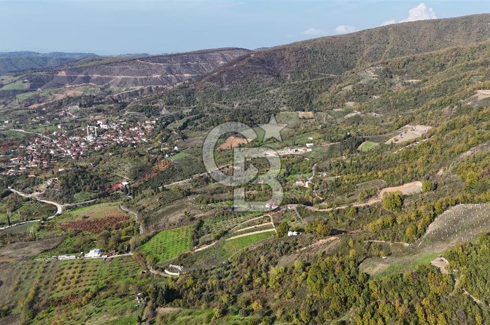 Karamürsel Akçat'ta 400M² Köy'e 800MT Satılık Meyve Behçesi!