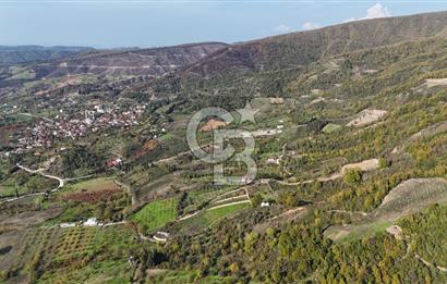 Karamürsel Akçat'ta 400M² Köy'e 800MT Satılık Meyve Behçesi!