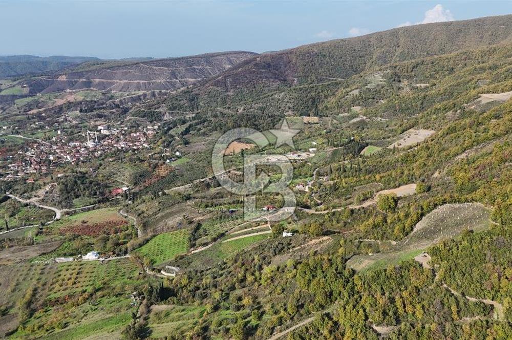 Karamürsel Akçat'ta 400M² Köy'e 800MT Satılık Meyve Behçesi!