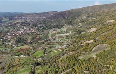 Karamürsel Akçat'ta 400M² Köy'e 800MT Satılık Meyve Behçesi!