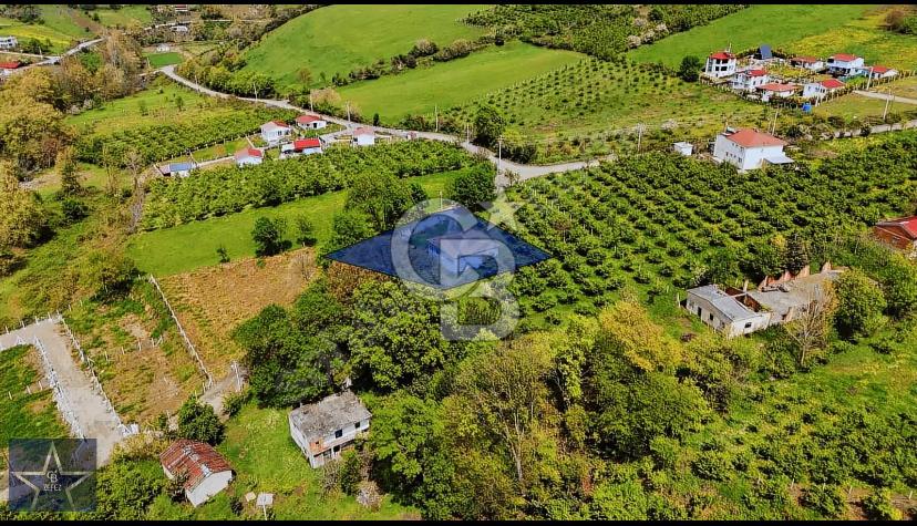 TAFLAN DA SATILIK ARSA