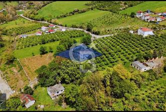 TAFLAN DA SATILIK ARSA - 4 - 316047