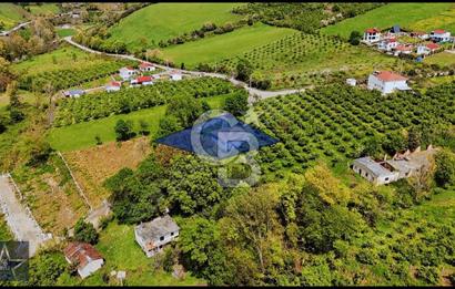 TAFLAN DA SATILIK ARSA