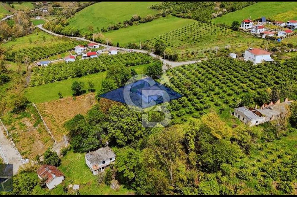 TAFLAN DA SATILIK ARSA