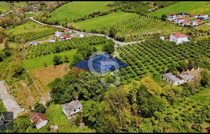 TAFLAN DA SATILIK ARSA