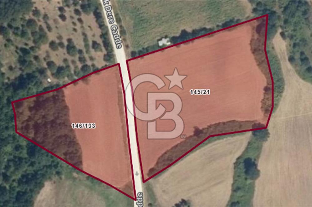 Karamürsel Yalakdere'de Yola Cepheli 14 Dönüm Satılık Tarla!