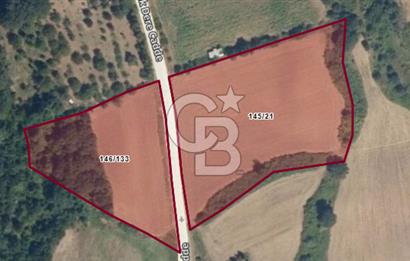 Karamürsel Yalakdere'de Yola Cepheli 14 Dönüm Satılık Tarla!