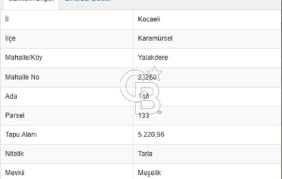 Karamürsel Yalakdere'de Yola Cepheli 14 Dönüm Satılık Tarla!