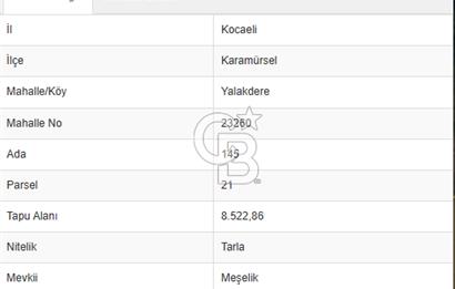 Karamürsel Yalakdere'de Yola Cepheli 14 Dönüm Satılık Tarla!