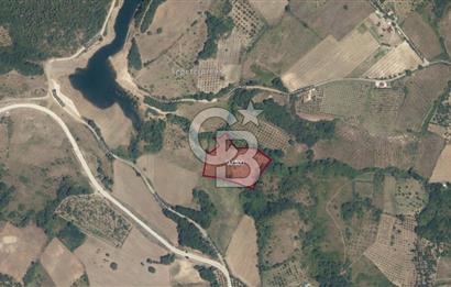 Karamürsel Akçatta Barajın Yanında 11.754 M² Satılık Tarla!