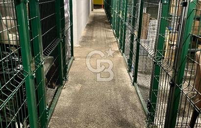 Dekon Suadiye Ametist'te havuz ve yeşilliklere bakan daire.