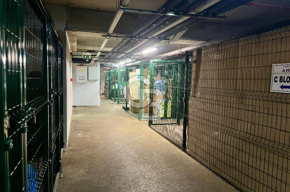 Dekon Suadiye Ametist'te havuz ve yeşilliklere bakan daire.